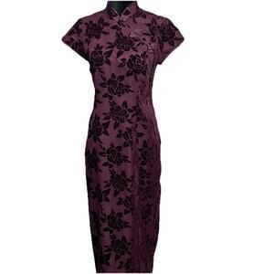 90s VTG Robbie Bee Velvet Burnout Dress Asian Style Sz 6 Maxi Dress Whimsigoth